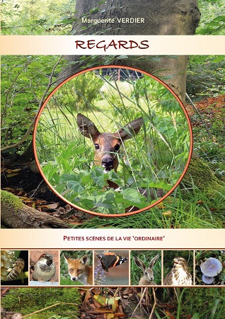 Illustration pour un livre publié : Regards