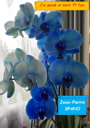 Illustration pour un livre publié : J'ai Pensé et écrit 77 fois