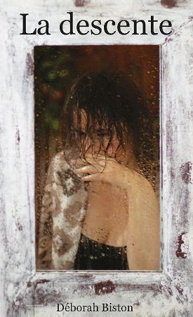 Illustration pour un livre publié : La descente