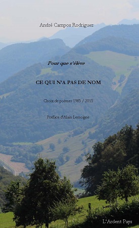 Illustration pour un livre publié : Pour que s'élève ce qui n'a pas de nom