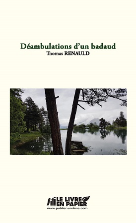 Illustration pour un livre publié : Déambulations d'un badaud