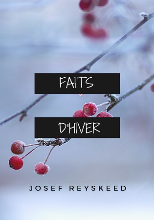 Illustration pour un livre publié : Faits d'Hiver