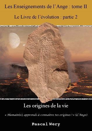 Illustration pour un livre publié : Les Enseignements de l'Ange : Tome II - Les origines de la vie