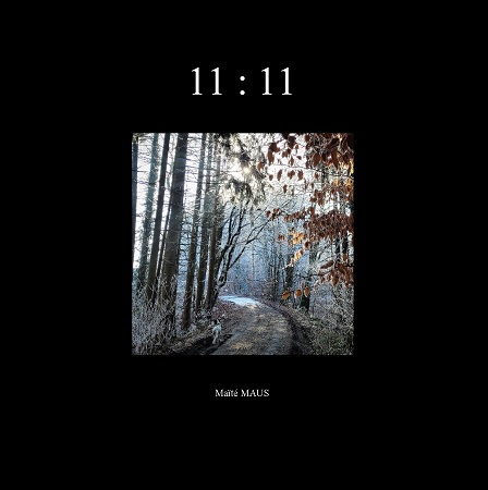 Illustration pour un livre publié : 11:11