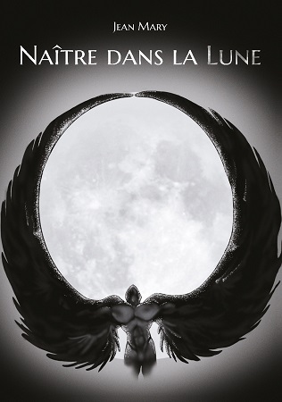 Illustration pour un livre publié : Naître dans la lune