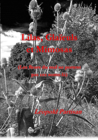 Illustration pour un livre publié : Lilas, Glaïeuls et Mimosas (les fleurs du mal ne portent pas ces noms-là)