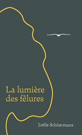 Illustration pour un livre publié : La lumière des fêlures