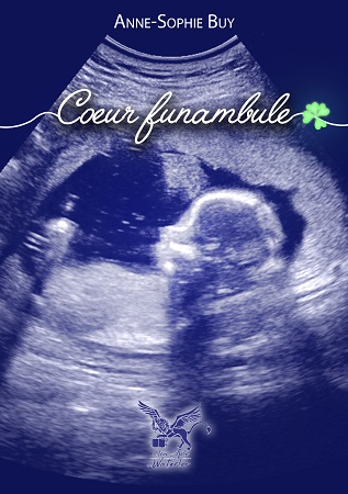 Illustration pour un livre publié : Coeur Funambule