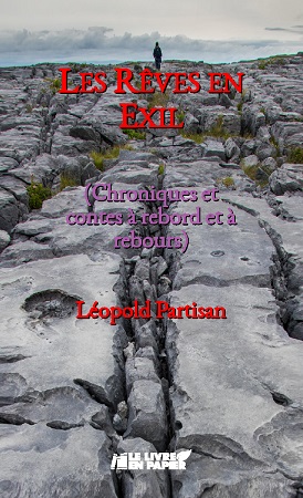 Illustration pour un livre publié : Les Rêves en Exil (chroniques et contes à rebord et à rebours)