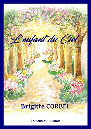 Illustration pour un livre publié : L'Enfant du Ciel