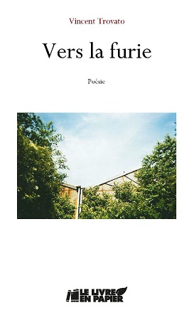 Illustration pour un livre publié : Vers la furie