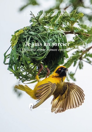 Illustration pour un livre publié : Je suis un sorcier