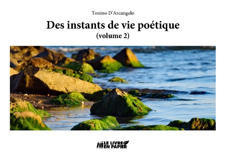 Illustration pour un livre publié : Des instants de vie poétique (Vol. 2)