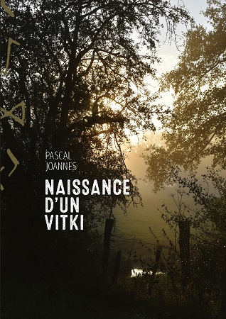 Illustration pour un livre publié : Naissance d'un Vitki