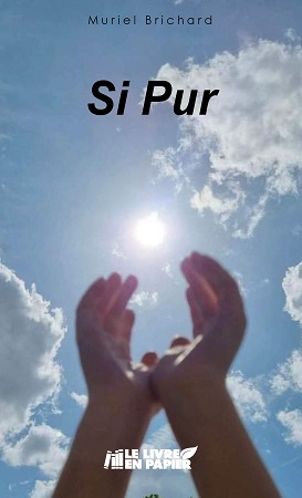 Illustration pour un livre publié : Si Pur
