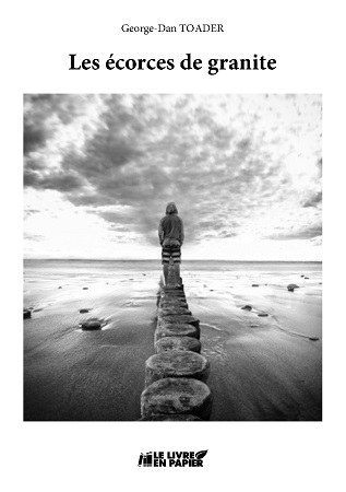 Illustration pour un livre publié : Les écorces de granite