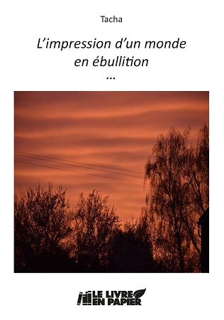 Illustration pour un livre publié : L'impression d'un monde en ébullition ...