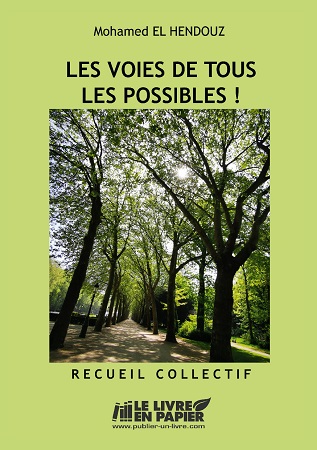 Illustration pour un livre publié : Les voies de tous les possibles - Recueil Collectif