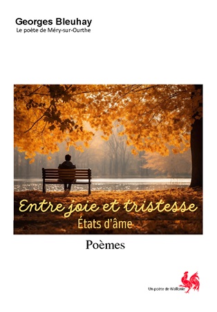 Illustration pour un livre publié : Entre joie et tristesse