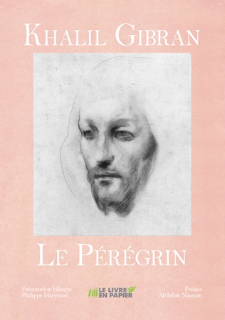 Illustration pour un livre publié : Le Pérégrin