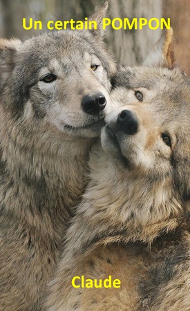 Illustration pour un livre publié : Un certain Pompon