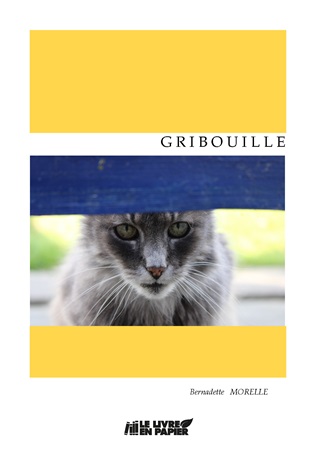 Illustration pour un livre publié : Gribouille