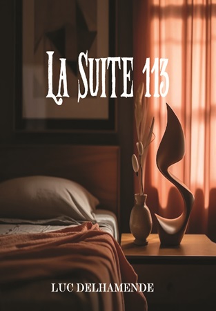 Illustration pour un livre publié : La suite 113