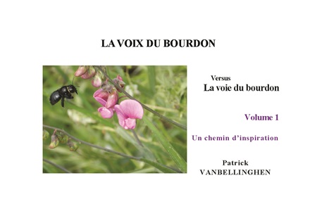 Illustration pour un livre publié : La voix du bourdon versus la voie du bourdon ; volume 1 : Un chemin d'inspiration