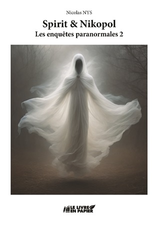 Illustration pour un livre publié : Spirit & Nikopol : Les enquêtes paranormales 2