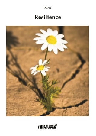 Illustration pour un livre publié : Résilience