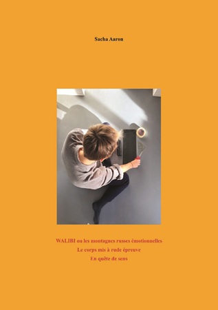 Illustration pour un livre publié : Walibi ou les montagnes russes émotionnelles