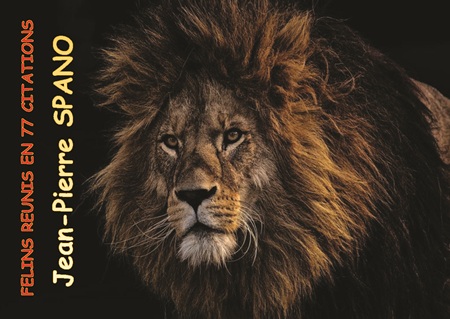 Illustration pour un livre publié : Félins réunis en 77 citations