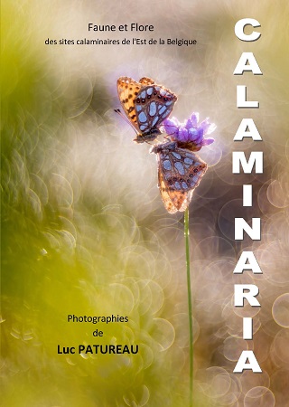 Illustration pour un livre publié : Calaminaria