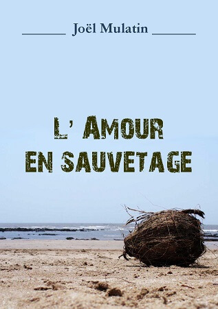 Illustration pour un livre publié : L'Amour en sauvetage