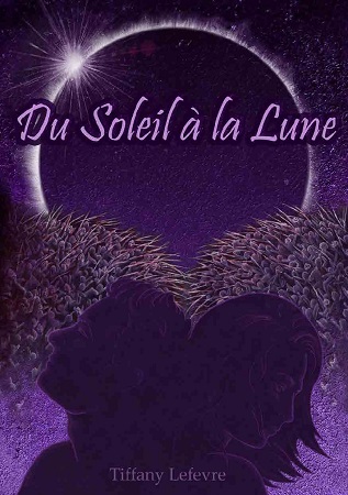 Illustration pour un livre publié : Du Soleil à la Lune