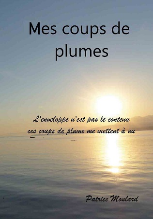 Illustration pour un livre publié : Mes coups de plume