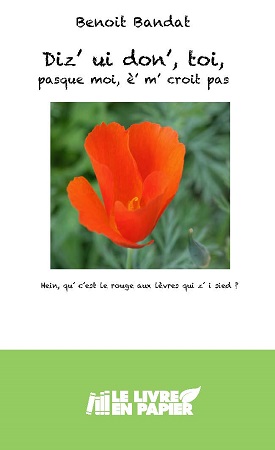 Illustration pour un livre publié : Dis' ui don', toi