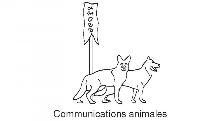 A la rencontre d'Hélène Delepine