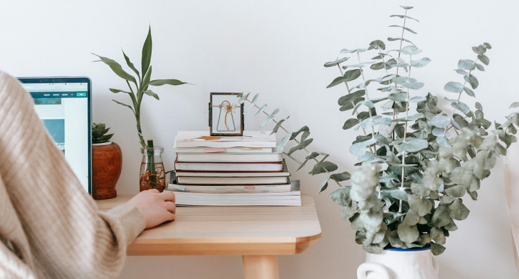 Les bonnes pratiques de l'auteur autoédité - Votre présence en ligne